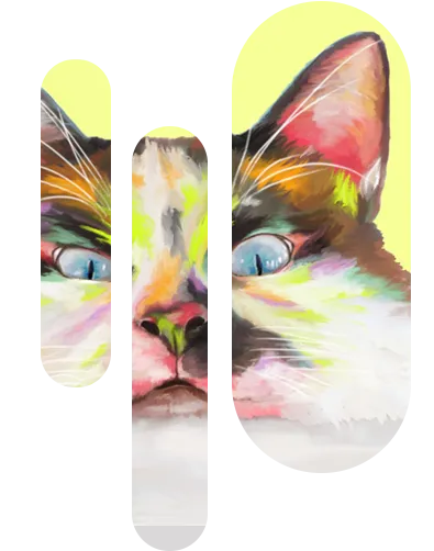 イラスト制作の実績